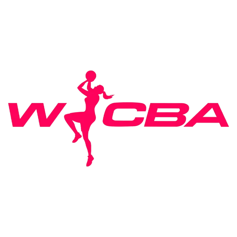 《WCBA 江西赣星vs陕西天泽20241227》全集高清完整版在线观看与剧情解析
