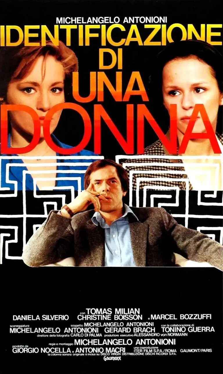 《一个女人的身份证明》全集高清完整版在线观看与剧情解析