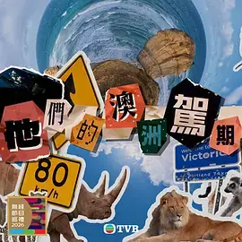 《他们的澳洲驾期》全集高清完整版在线观看与剧情解析