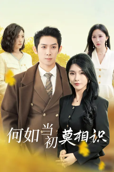 《何如当初莫相识》全集高清完整版在线观看与剧情解析