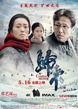 《归来2014[电影解说]》全集高清完整版在线观看与剧情解析