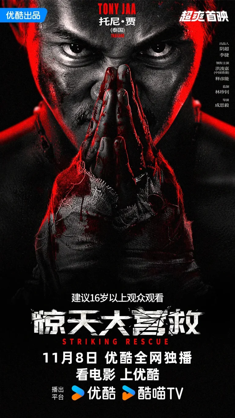 《惊天大营救》全集高清完整版在线观看与剧情解析