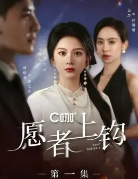 《愿者上钩》全集高清完整版在线观看与剧情解析