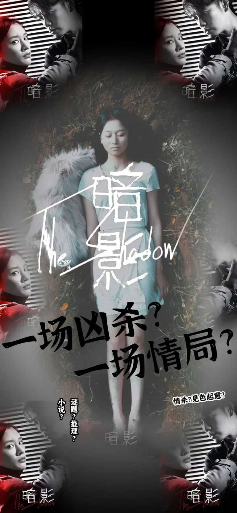 《暗影》全集高清完整版在线观看与剧情解析