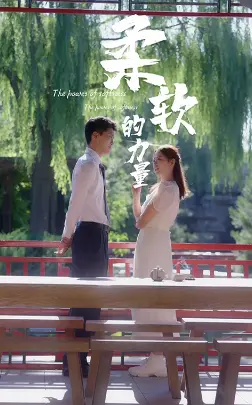 《柔软的力量》全集高清完整版在线观看与剧情解析