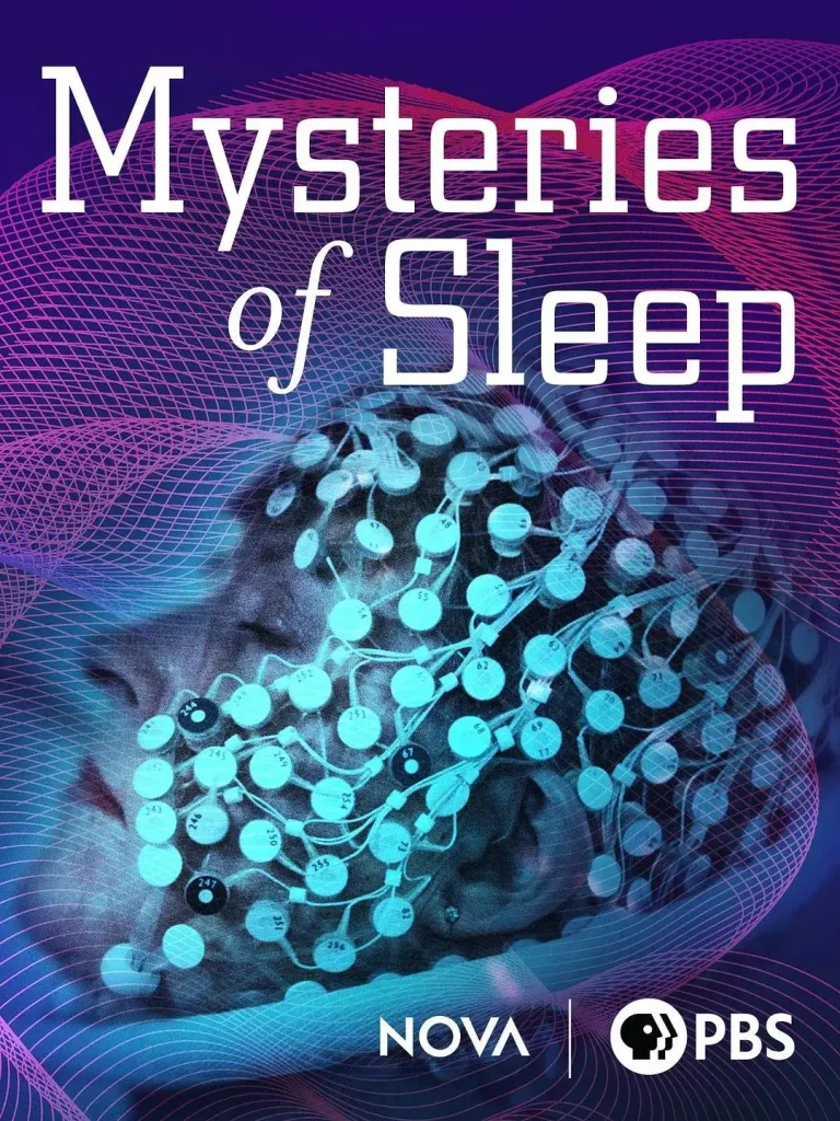 《睡眠之谜》全集高清完整版在线观看与剧情解析