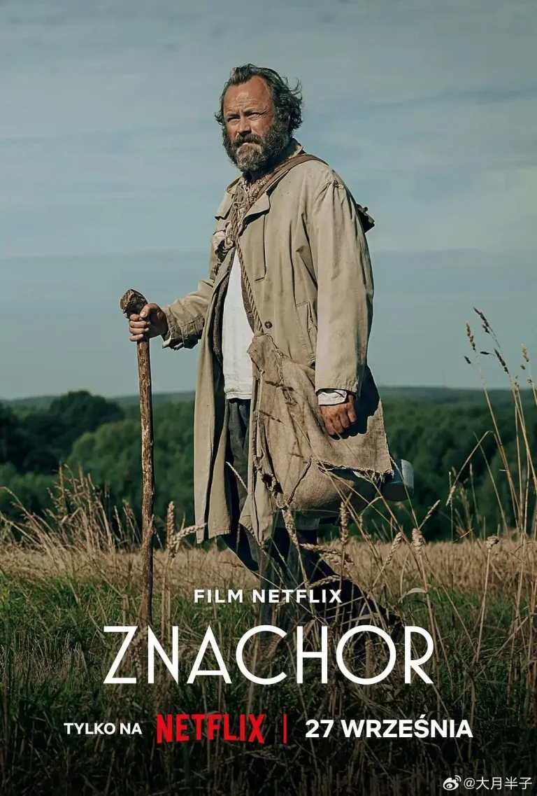 《被遗忘的爱》全集高清完整版在线观看与剧情解析