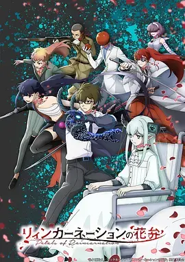 《轮回的花瓣》全集高清完整版在线观看与剧情解析